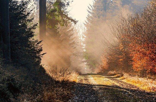 Что такое психосоматика